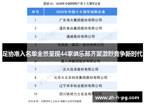 足协准入名单全景呈现44家俱乐部齐聚激烈竞争新时代 足协准入名单全景呈现44家俱乐部齐聚激烈竞争新时代